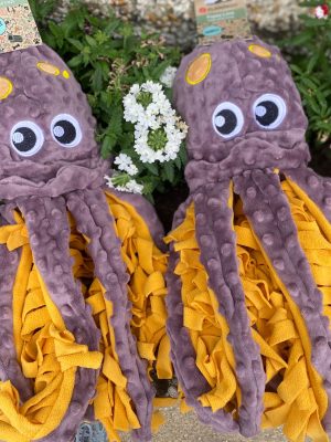 Hide & Treat - Octopus