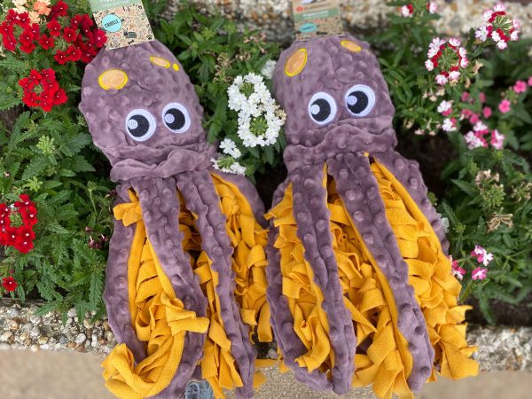 Hide & Treat - Octopus