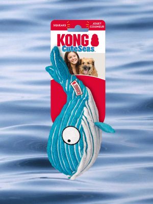 Kong Walvis