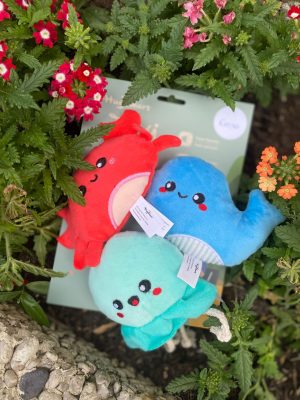 Zeedieren 3-in-1 set!